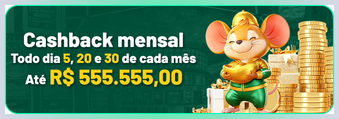 Tela de acesso 66RRWIN para conferir dados antes de entrar